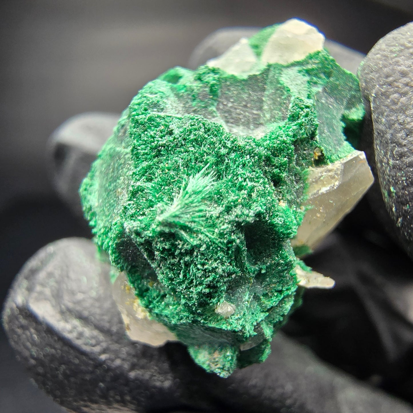 Seltene Malachit Stufe, grün Kaokoveld, Namibia 26*23*15mm Mineraliensammlung
