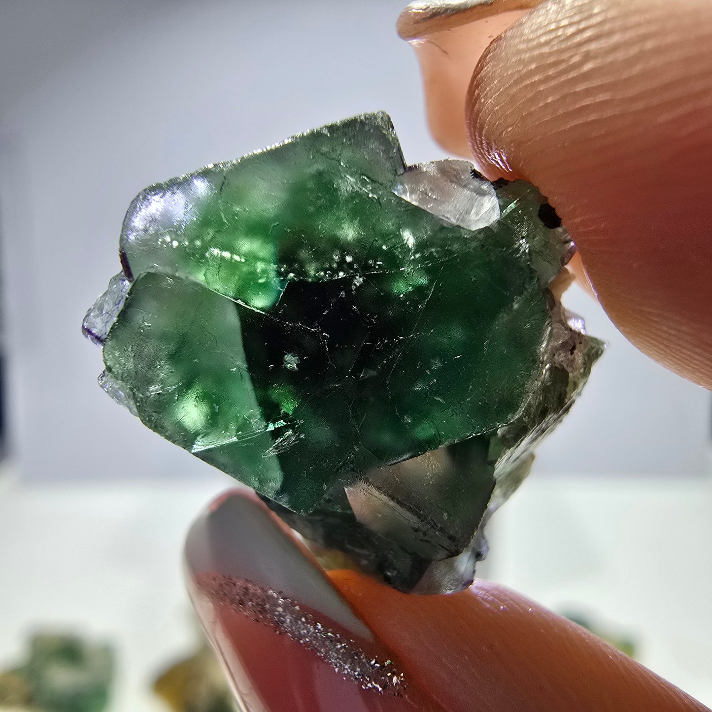 Lot de 16 tourmalines Schörl, fluorite fantôme, hyalite, stade muscovite, Erongo, Namibie