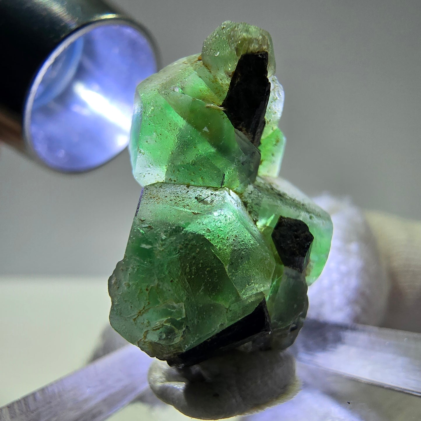 Spécimen de tourmaline Schorl hexagonale en cube de fluorite fantôme, Erongo, Namibie, 26 x 19 x 12 mm