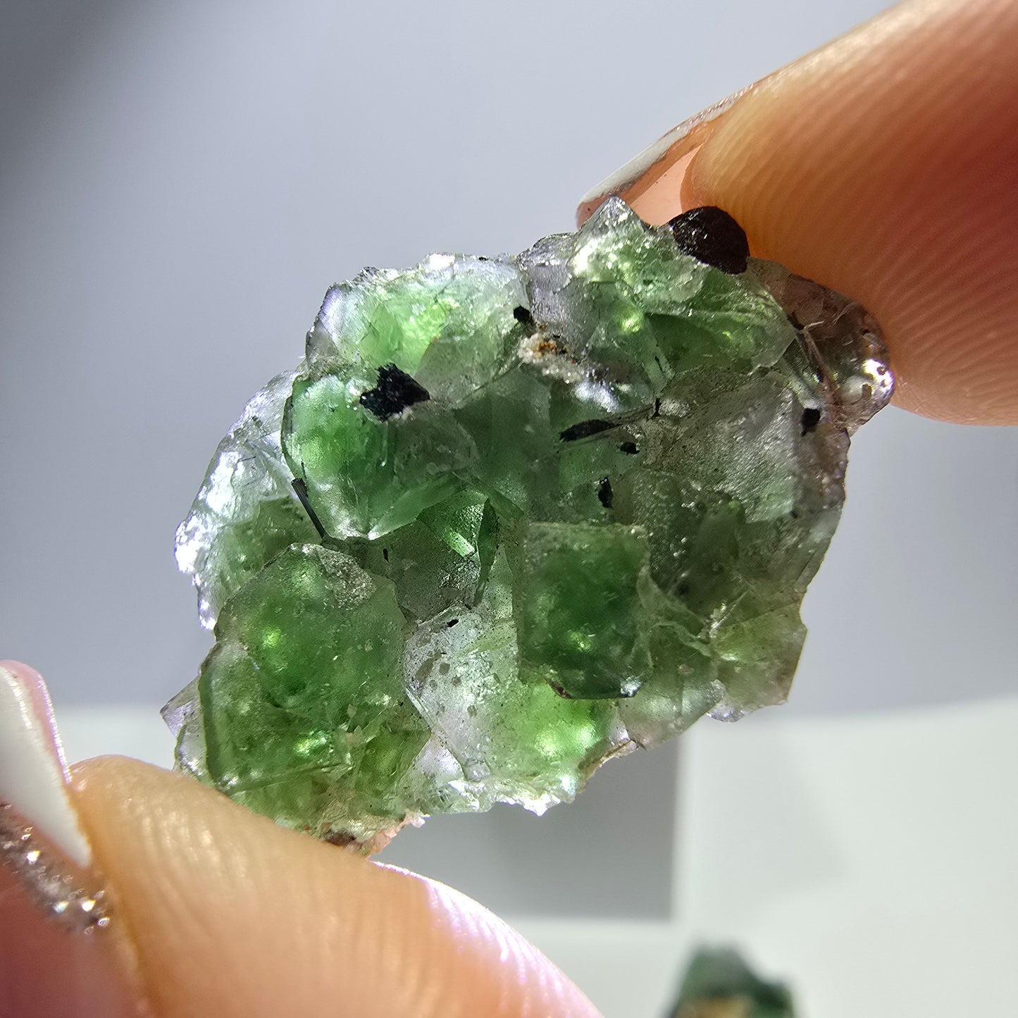 Lot de 16 Fluorite Fantôme, Hyalite Tourmaline Schörl Moscovite Steps Erongo, Namibie