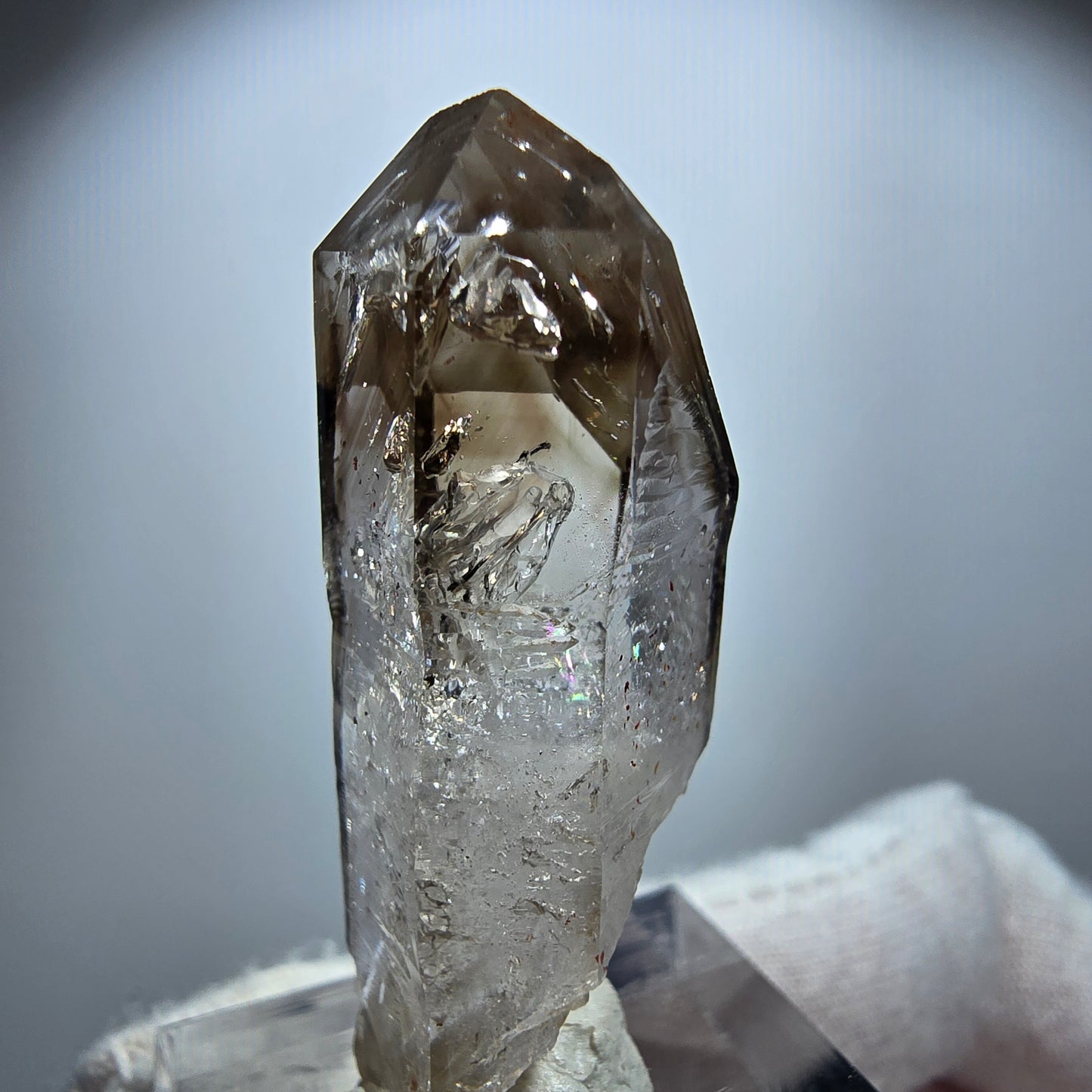 Enhydro Phantom Rauchquarz Zepter, 1x Blase Goboboseb, Namibia 41*17*14mm