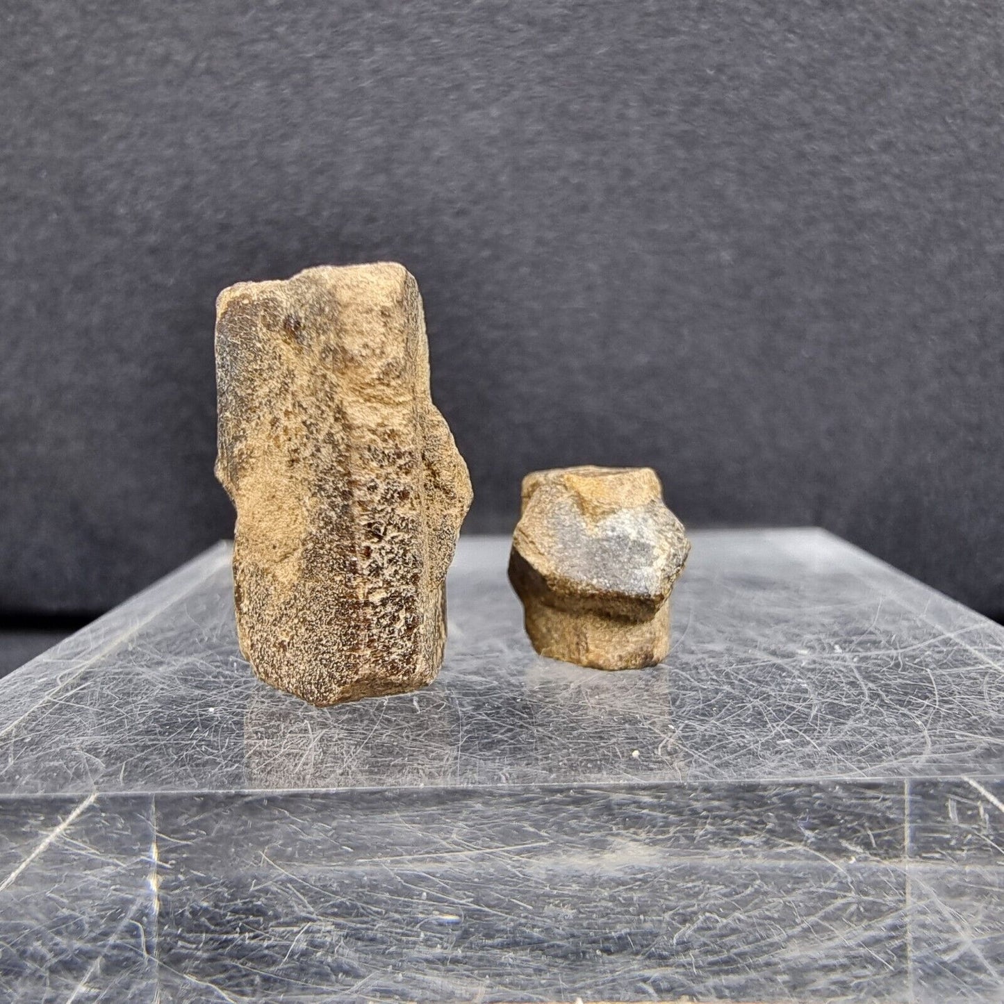 2x Staurolith Set 11*9*7+18*15*10mm 5+1g Bretagne, Frankreich Mineraliensammlung