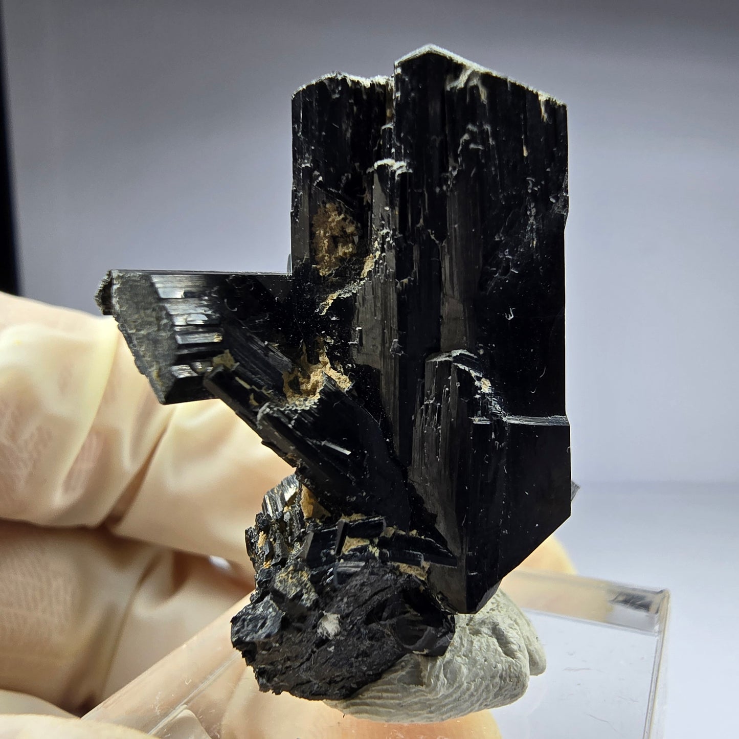 Seltene Schörl Turmalin Stufe schwarz 36*27*20mm Erongo, Namibia Sammlung