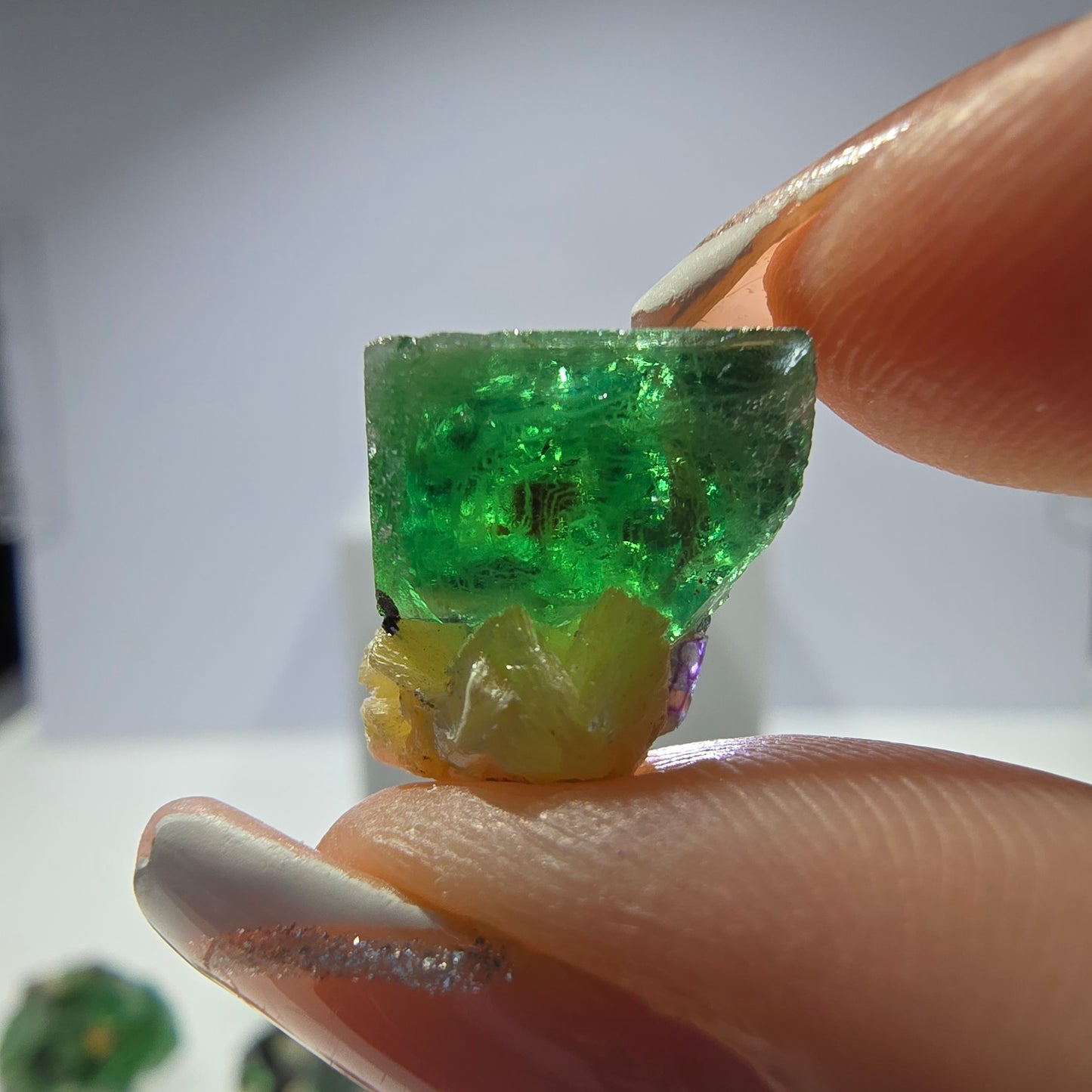 Lot de 16 fluorites fantômes, hyalites, tourmalines Schörl, muscovites, Erongo, Namibie