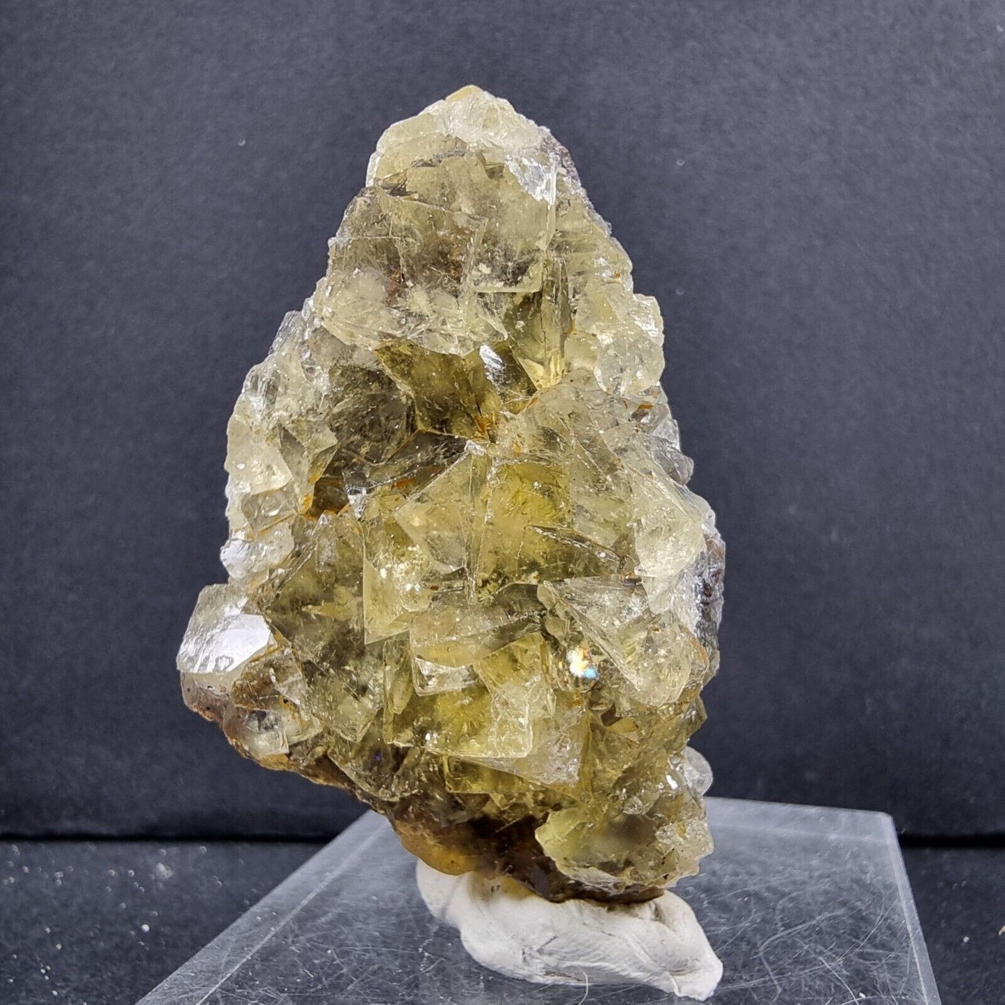 Seltene Honey Pocket Fluorit XX Würfel Stufe 59*30*28mm aus Okorusu Mine Namibia