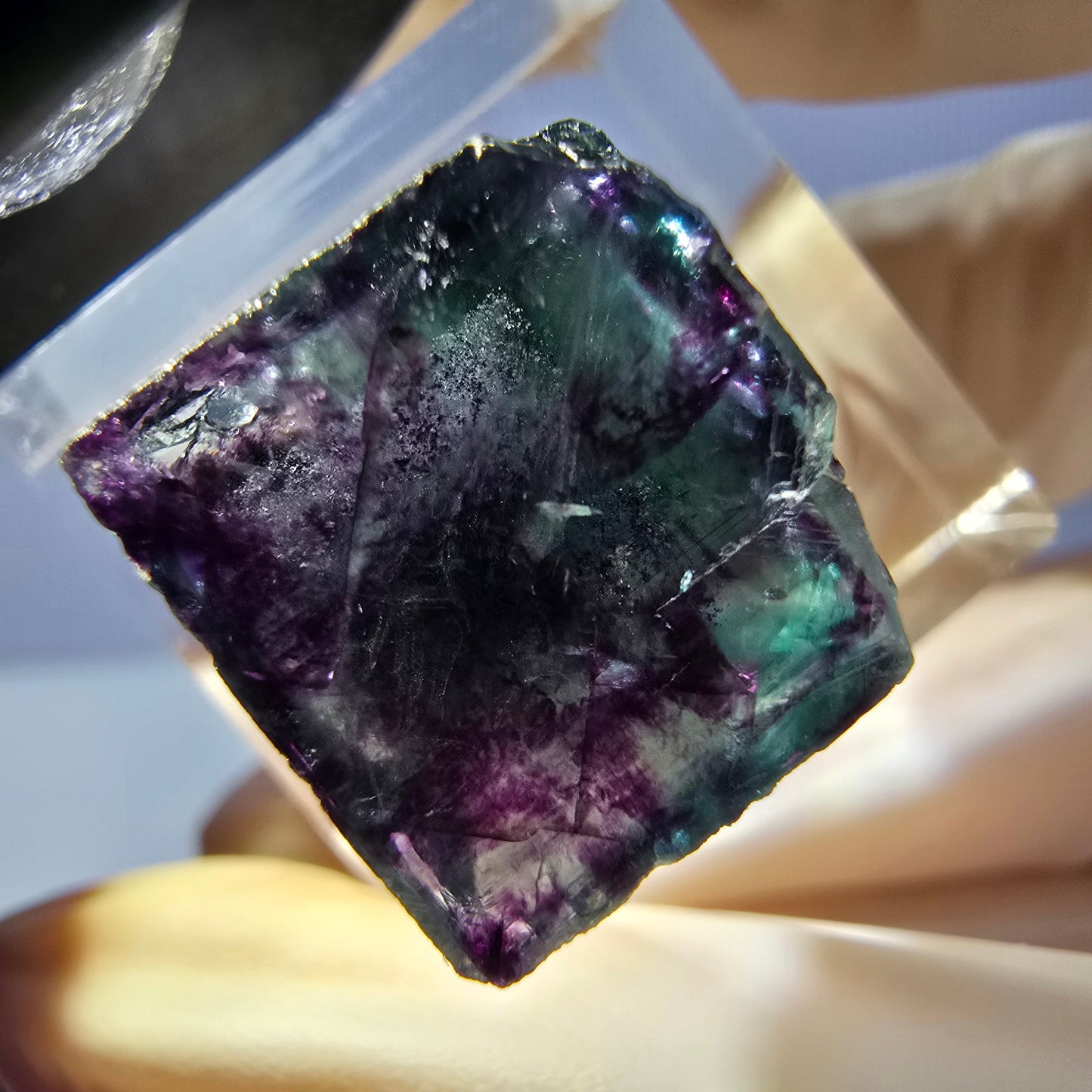 Phantom Fluorit Würfel parkettiert, grün lila Okorusu, Namibia 18*15*15mm