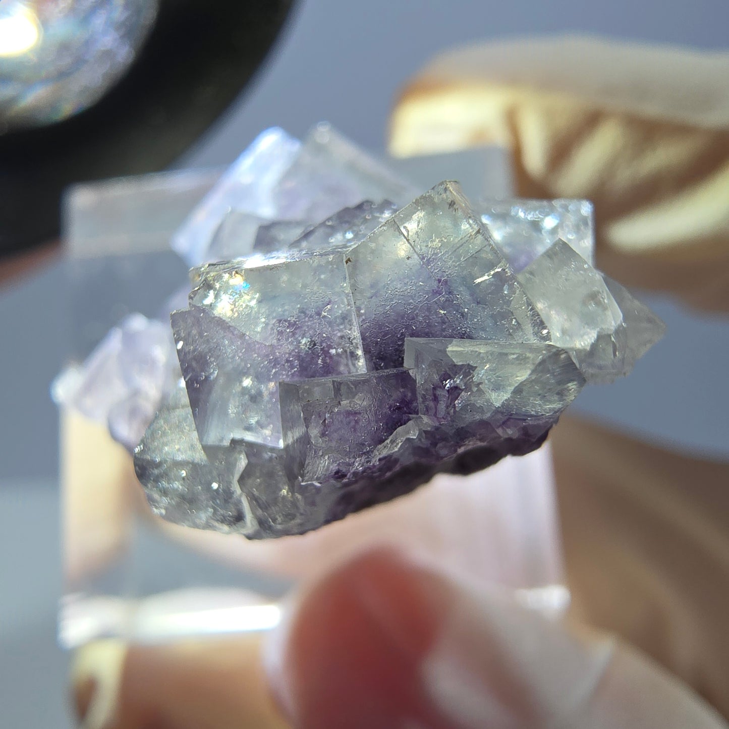 Phantom Fluorit Würfel Stufe, grün lila Okorusu, Namibia 27*21*17mm