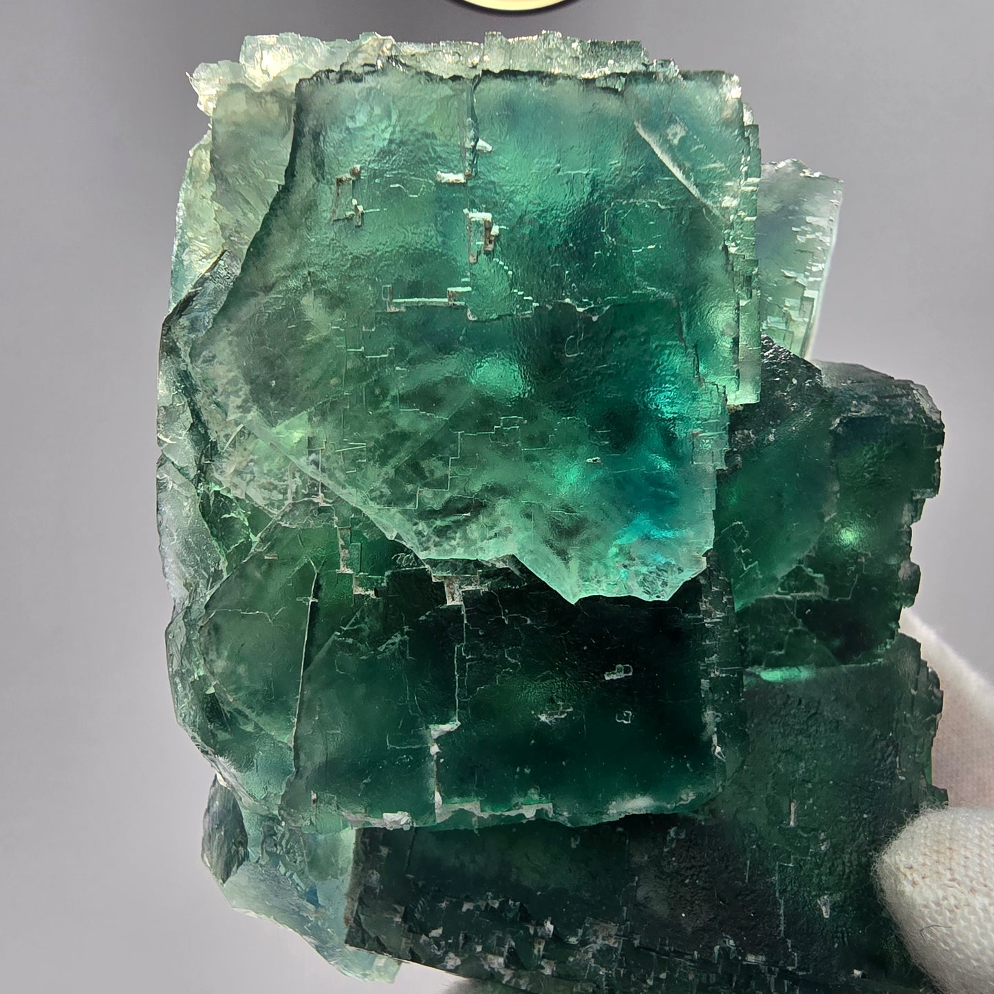 Große Phantom Fluorit Würfel Stufe grün parkettiert Okorusu, Namibia 81*68*35mm