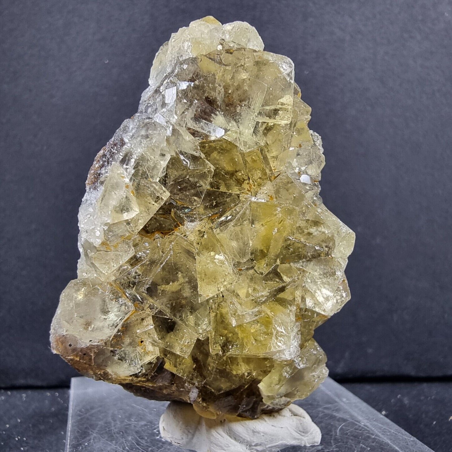 Seltene Honey Pocket Fluorit XX Würfel Stufe 59*30*28mm aus Okorusu Mine Namibia