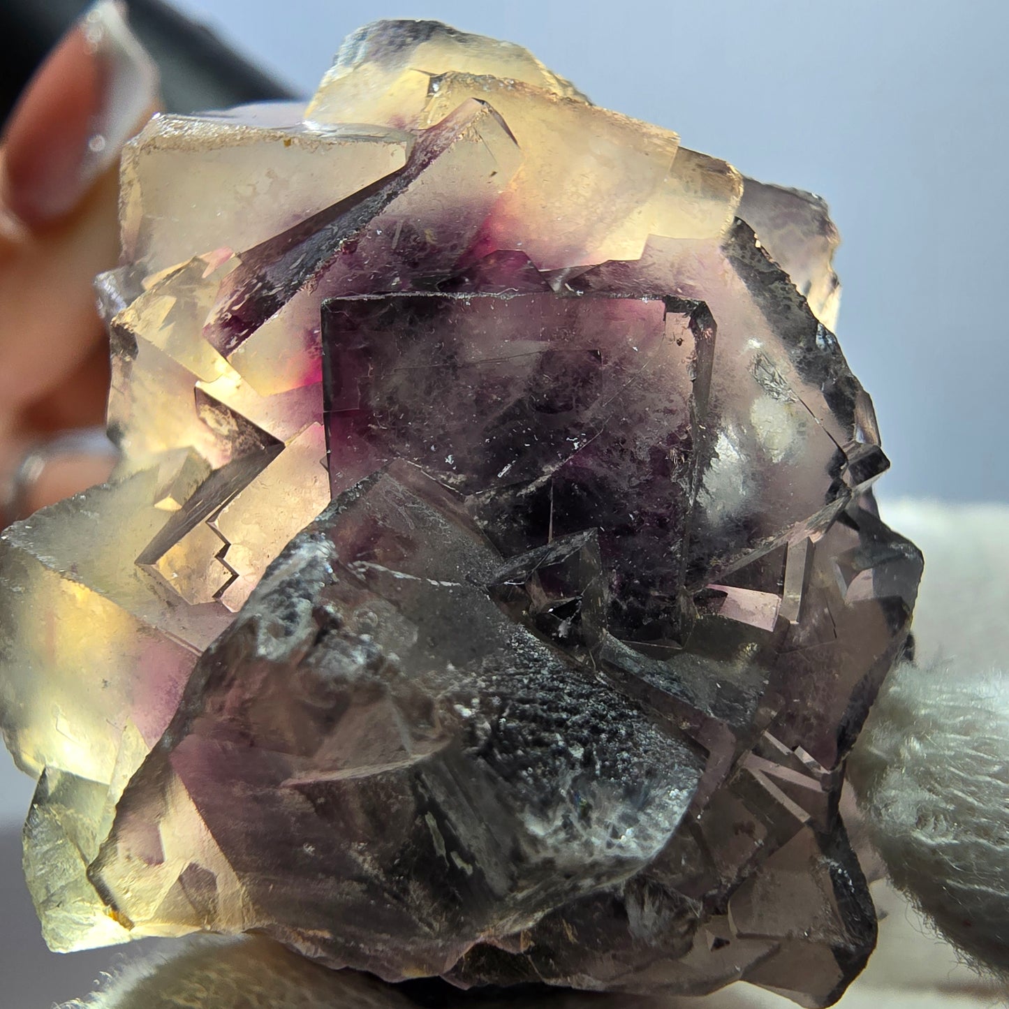 Rare spécimen de cube de fluorite fantôme, violet et blanc, Okorusu, Namibie, 44 x 38 x 26 mm