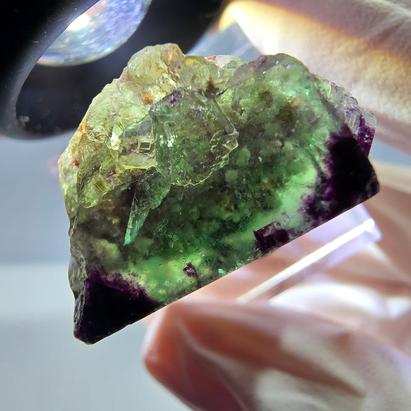 Phantom Fluorit Würfel Stufe, parkettiert, zonal Okorusu, Namibia 27*24*14mm