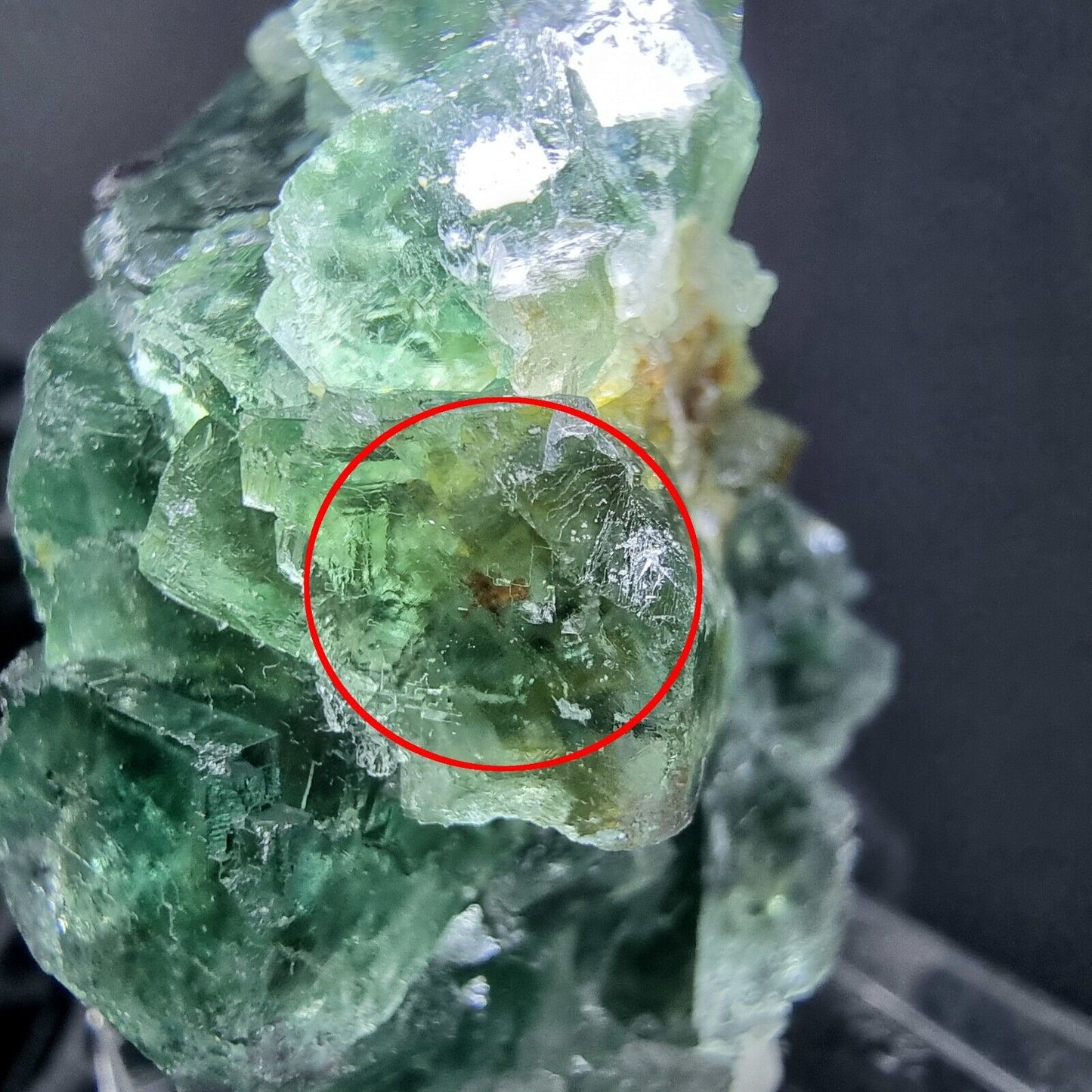 Klare Fluorit XX Würfel Stufe mit Einschluss 35*23*23mm 28g Okorusu, Namibia