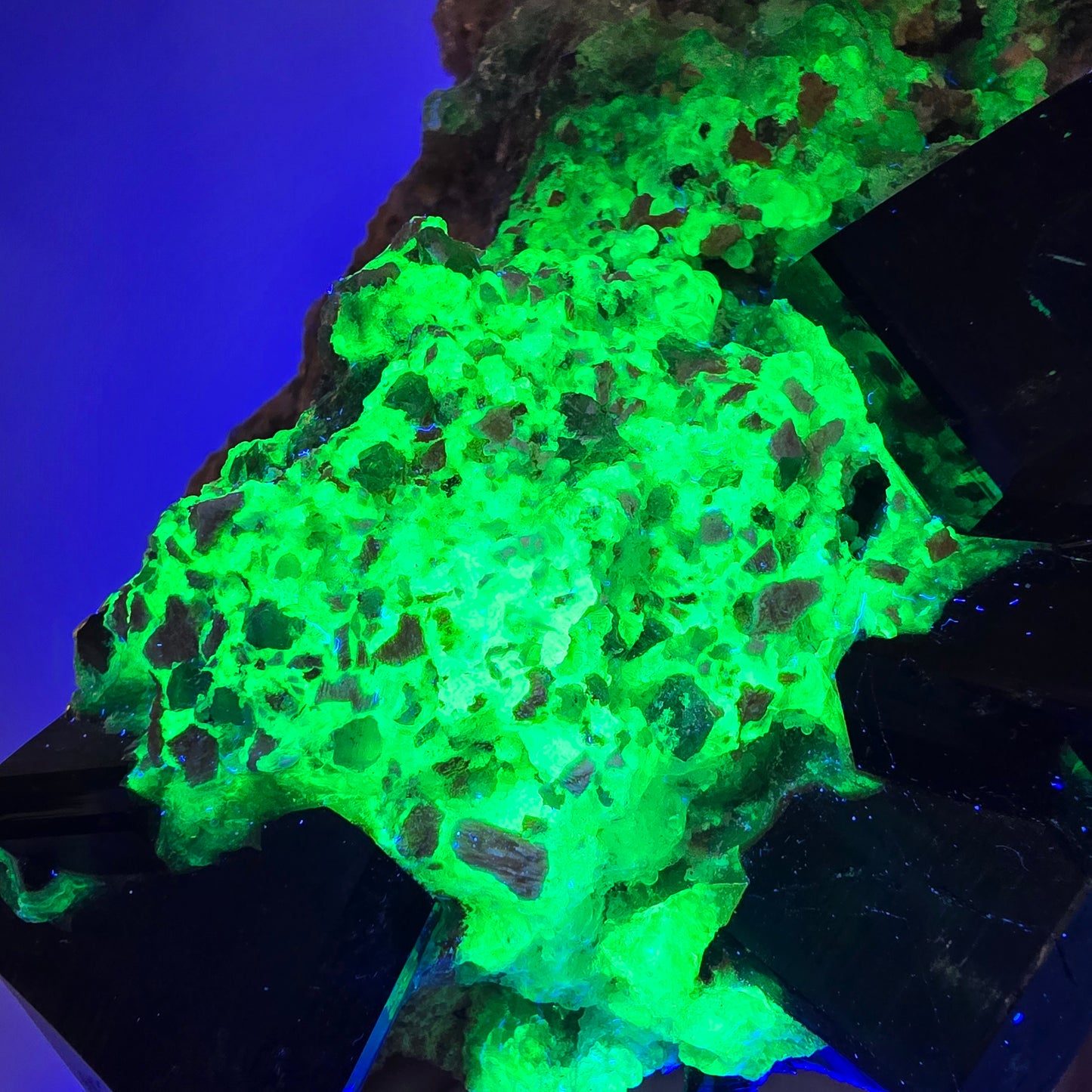 Grand spécimen de tourmaline Schorl, hyalite, quartz fumé et orthose, Erongo, Namibie, 123 x 92 x 47 mm