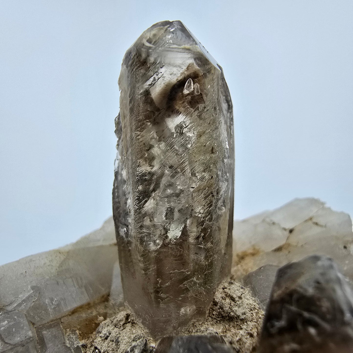 Phantom Rauchquarz Zepter auf Matrix Goboboseb, Namibia 57*51*47mm Sammlung