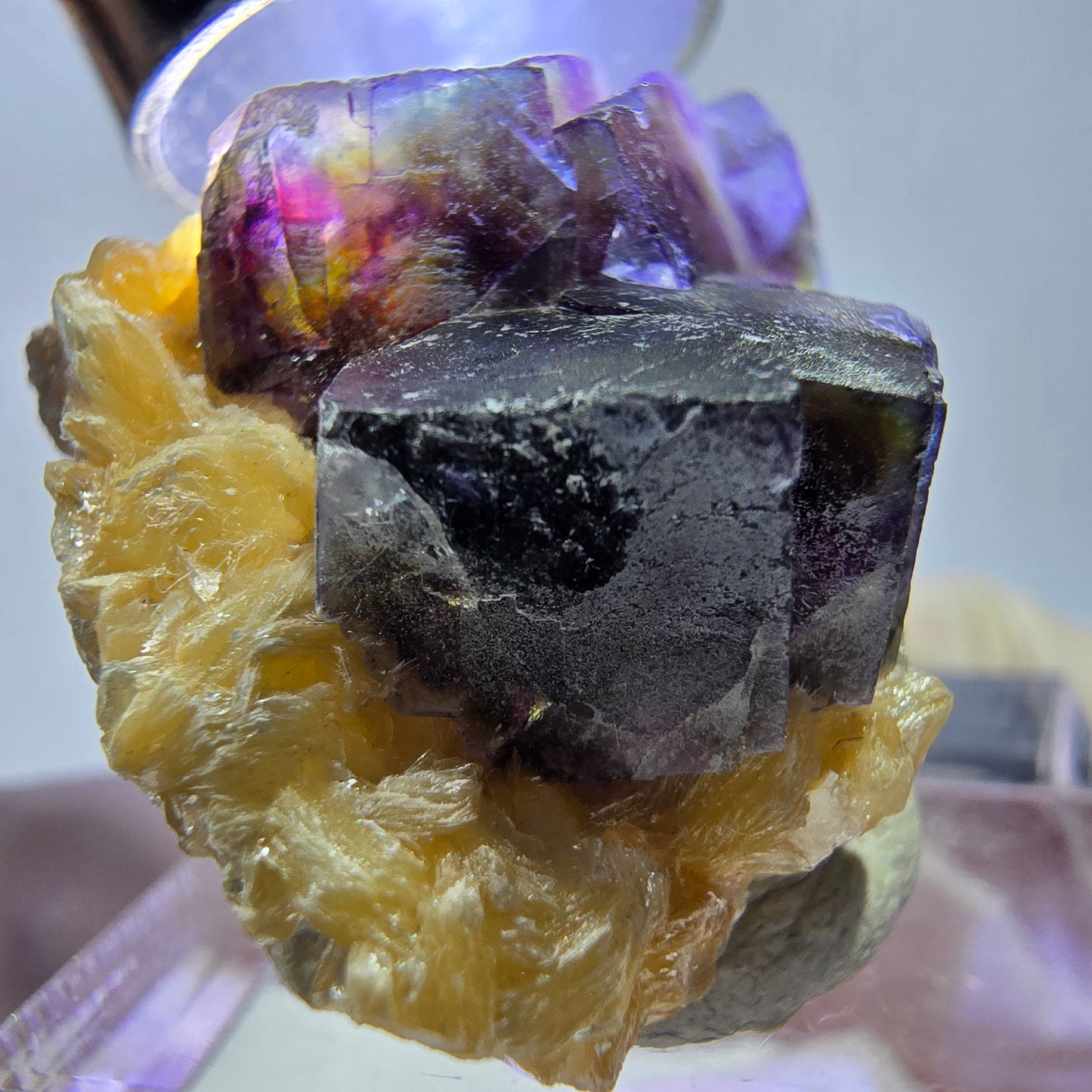 Cubes de fluorite fantôme colorés, spécimen de muscovite, Erongo, Namibie, 32 x 27 x 13 mm