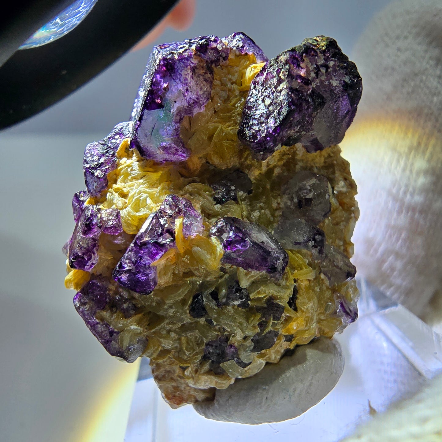Cube de fluorite fantôme zonal, spécimen de muscovite, Erongo, Namibie, 35 x 26 x 13 mm