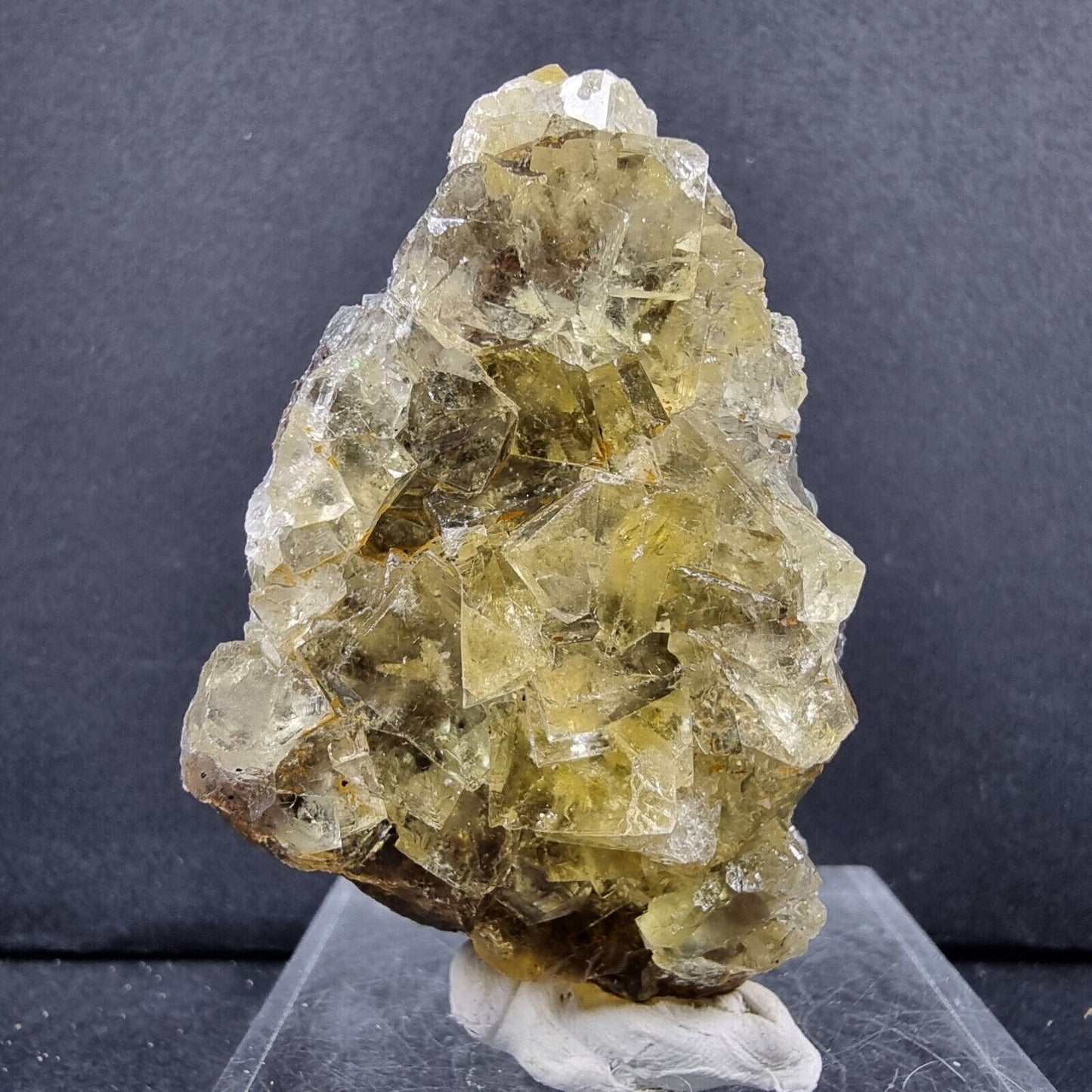 Seltene Honey Pocket Fluorit XX Würfel Stufe 59*30*28mm aus Okorusu Mine Namibia