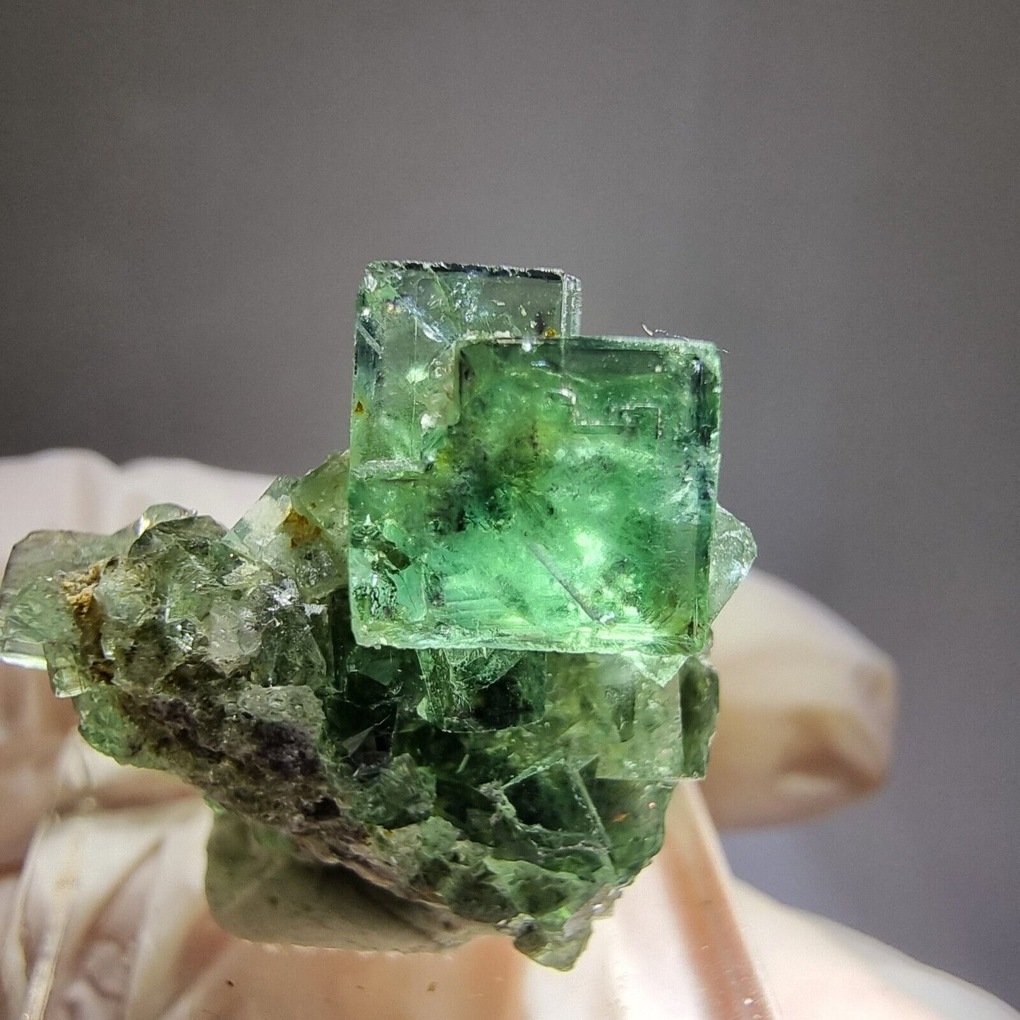 TOP grüne Fluorit Würfel Stufe 27*22*16mm Okorusu, Namibia Mineraliensammlung