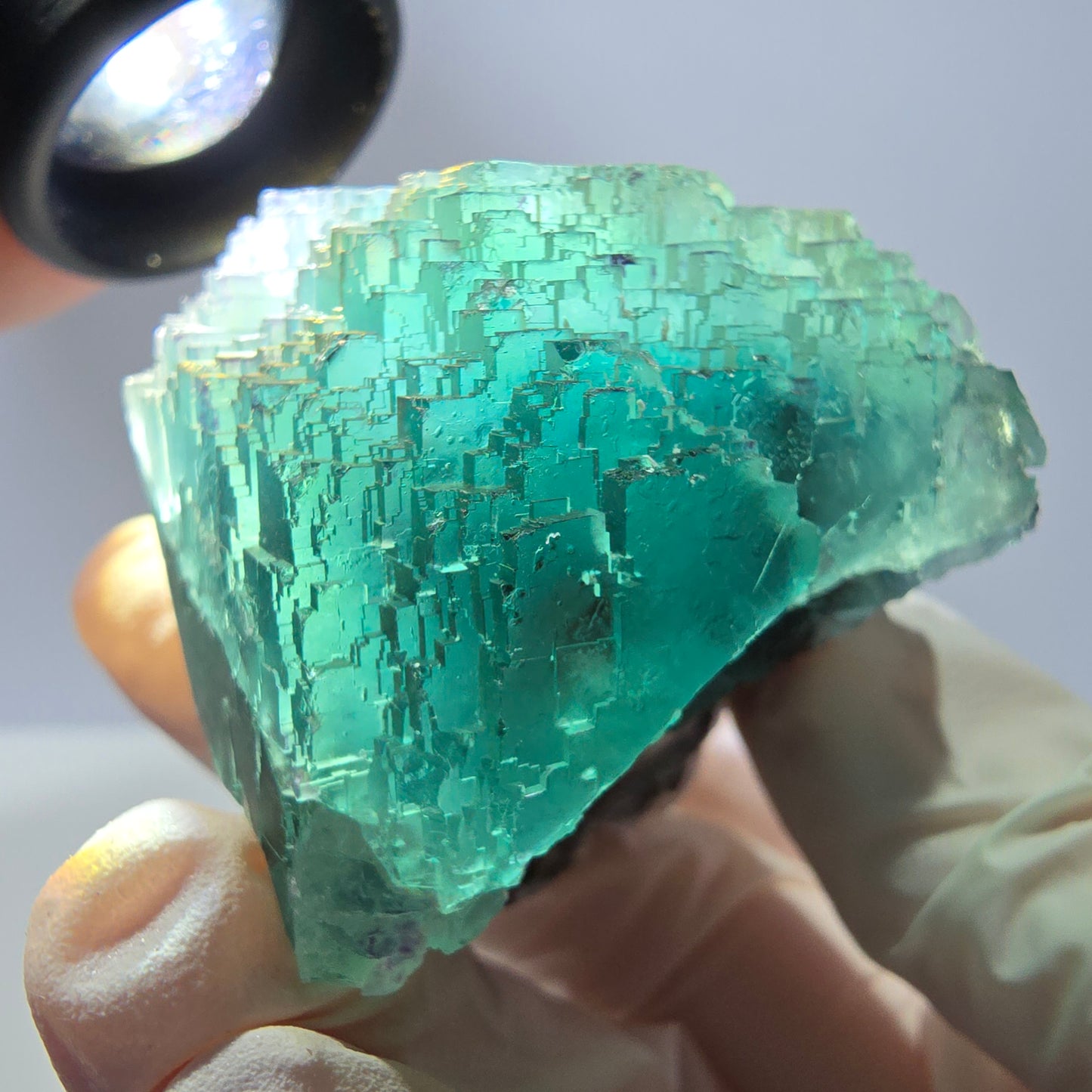 Spécimen de cube de fluorite fantôme transparente, vert parqueté, Okorusu, Namibie, 60 x 44 x 40 mm