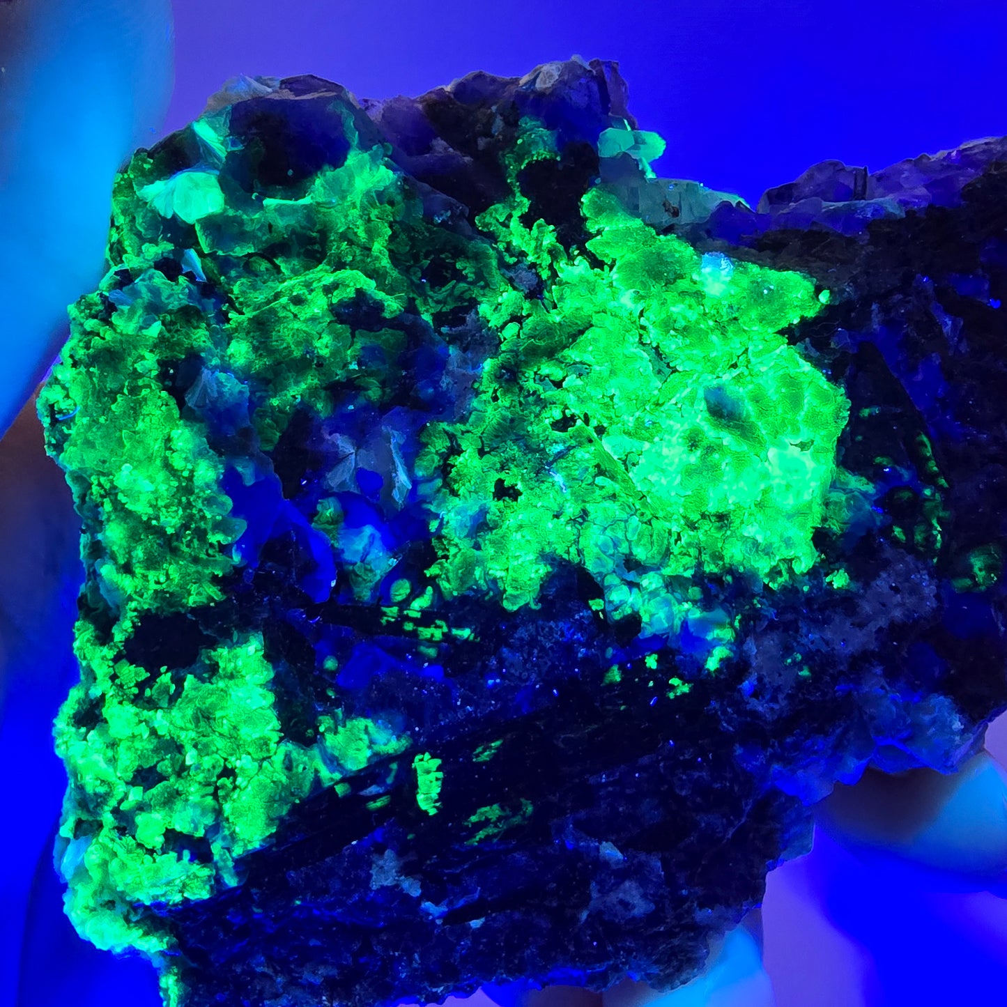 Grande fluorite fantôme, tourmaline schol, hyalite, muscovite, quartz fumé, Erongo, Namibie, 93 x 74 x 24 mm