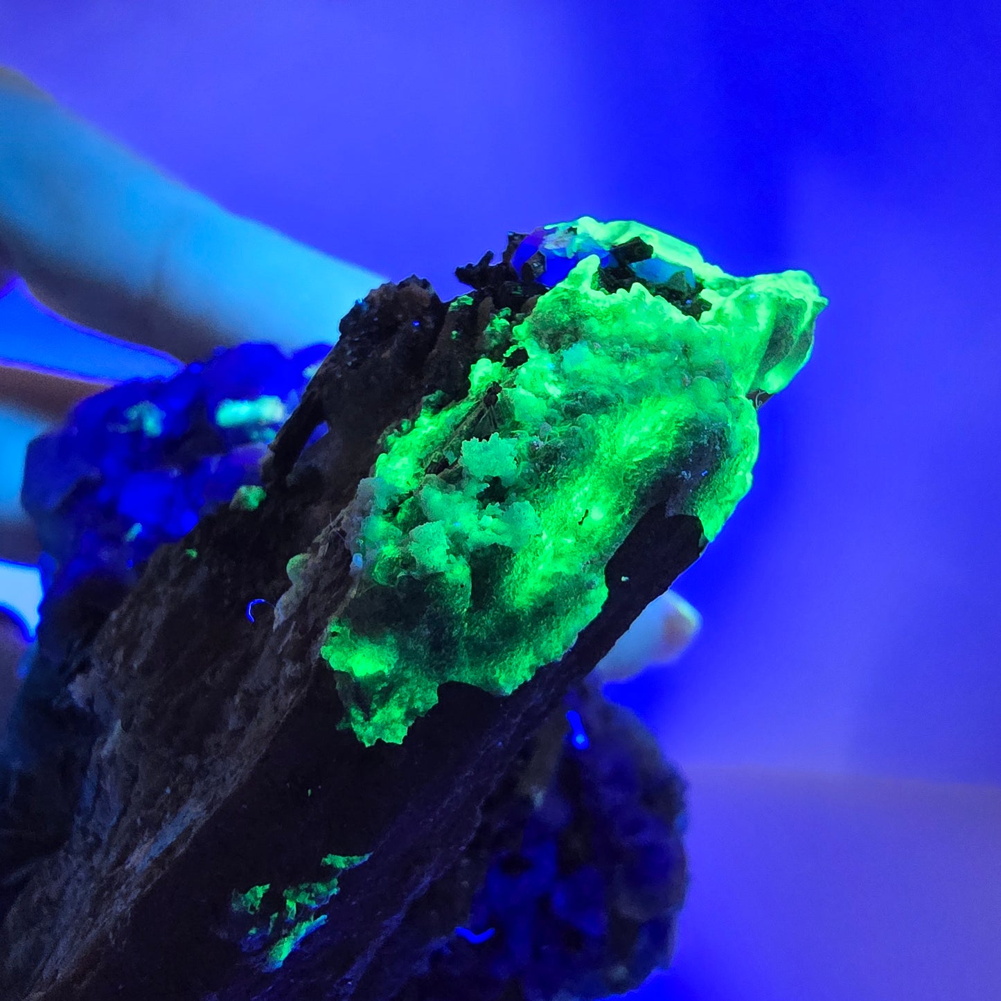 Fluorite fantôme Schörl Tourmaline Hyalite Quartz fumé Erongo Namibie 77*60*57mm