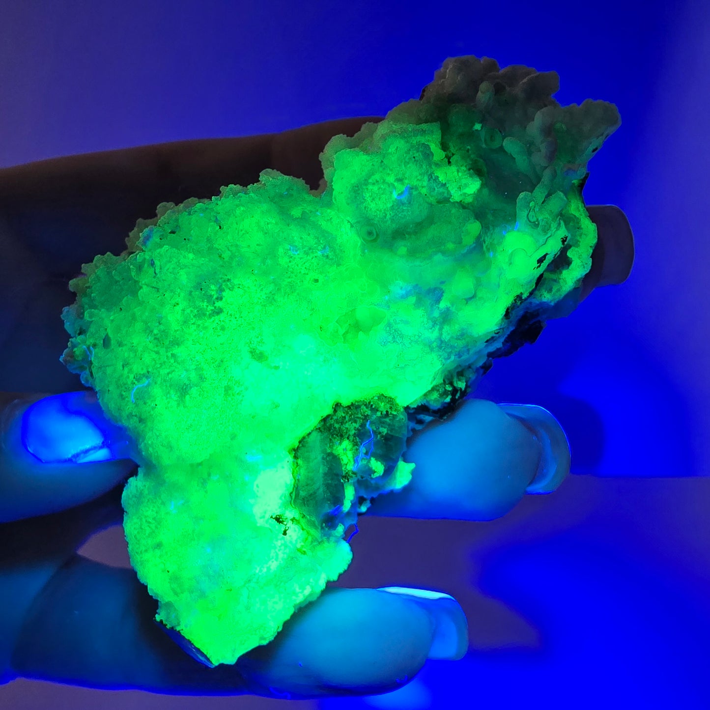 Spécimen rare d'opale hyalite (minéral UV) de tourmaline Schorl, Erongo, Namibie, 64 x 50 x 36 mm