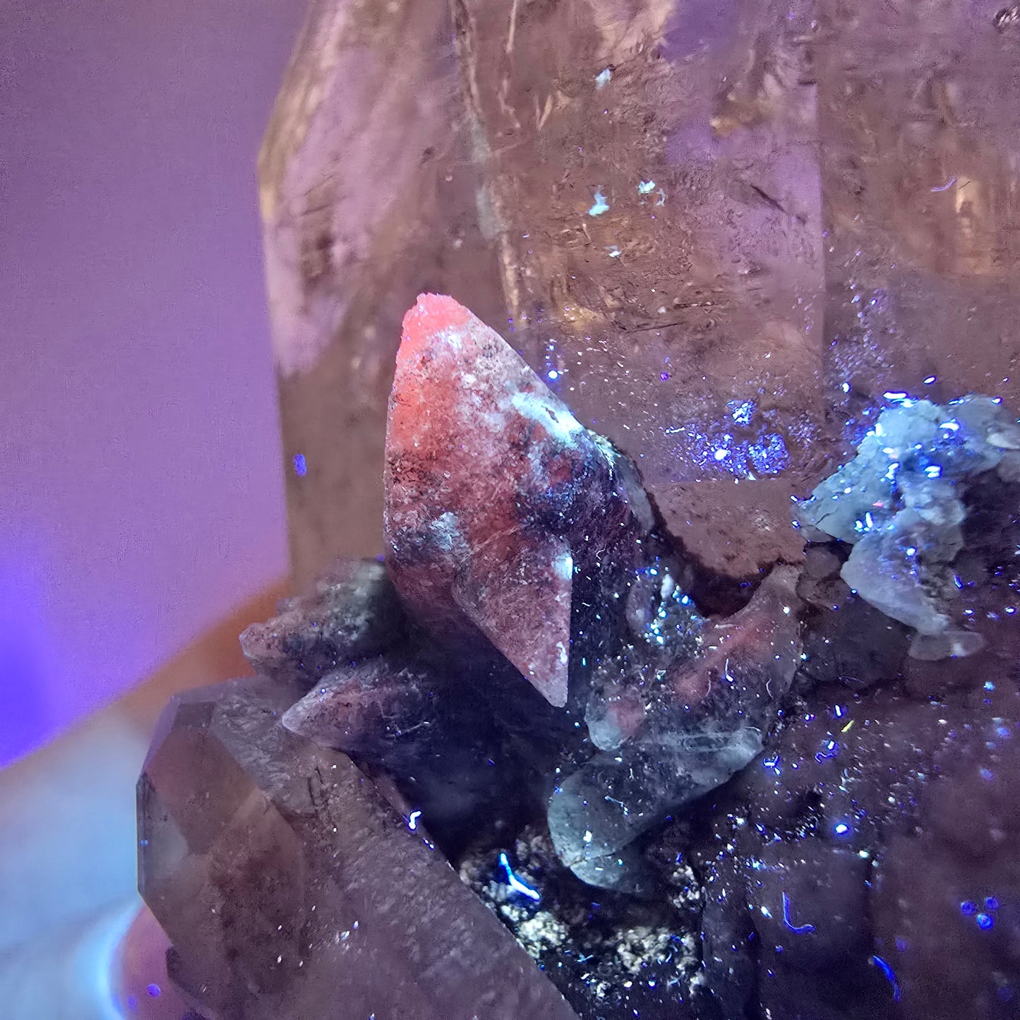 Sceptre squelette en quartz fumé Enhydro, calcite UV Valentine Pocket Goboboseb Namibie 99 x 56 x 45 mm
