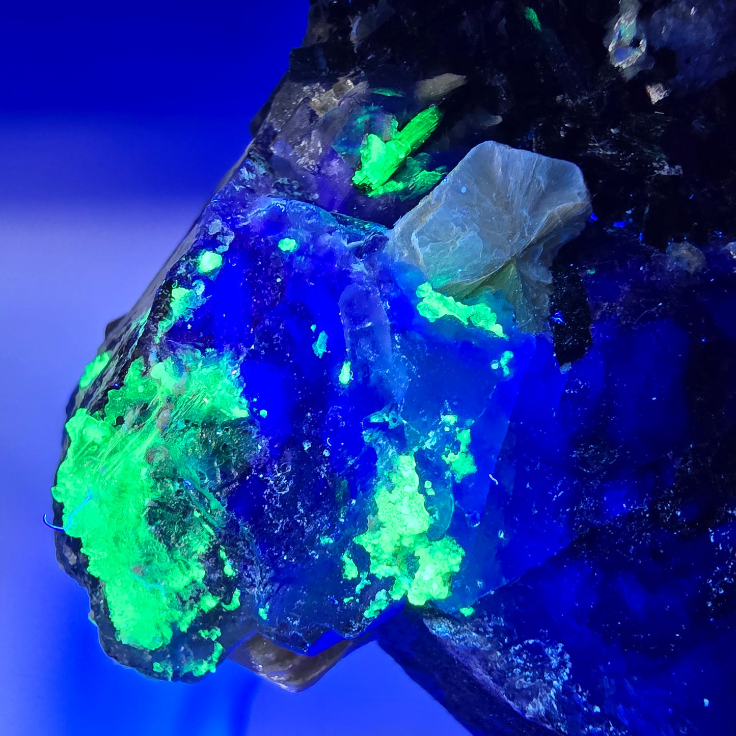 Fluorite fantôme hexagonale, hyalite, tourmaline Schörl, muscovite Erongo, Namibie 93*73*42mm