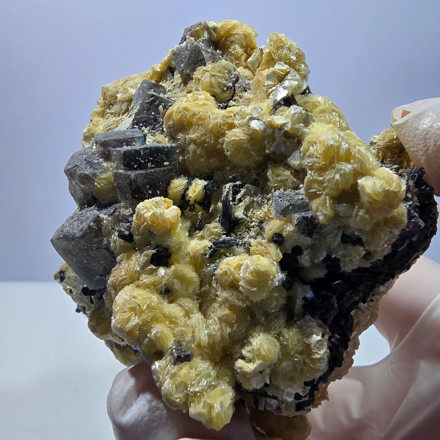 Spécimen de fluorite fantôme colorée, tourmaline schorl et muscovite d'Erongo, Namibie, 83 x 69 x 58 mm