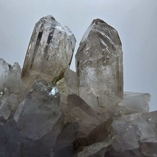 XL Enhydro Skelett Phantom Rauchquarz Zepter auf Matrix Goboboseb, Namibia 83*73*66mm