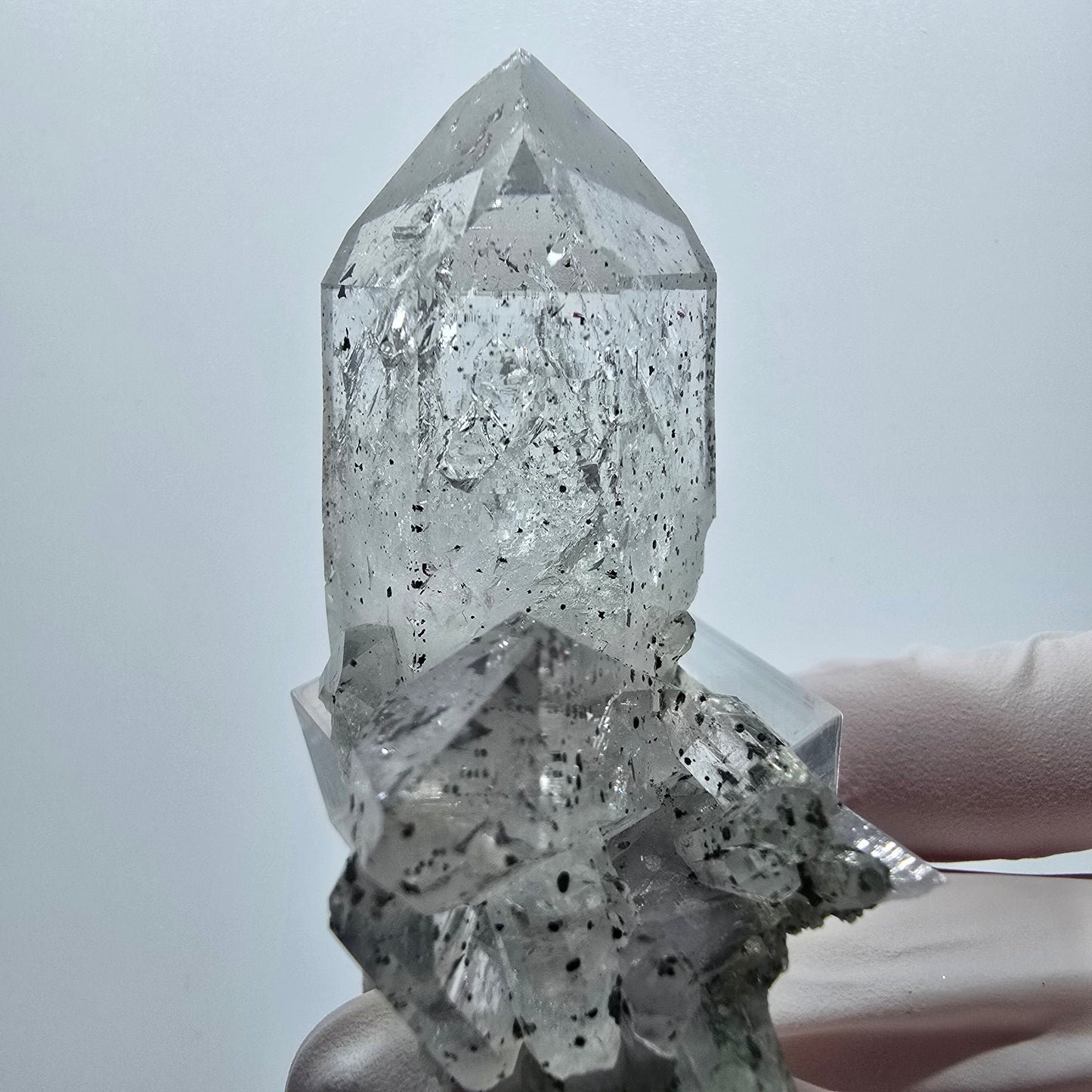 Quartz arlequin Enhydro avec épidote, 3 bulles (grandes) Gobo de mine Streep. Namibie 58*49*28mm