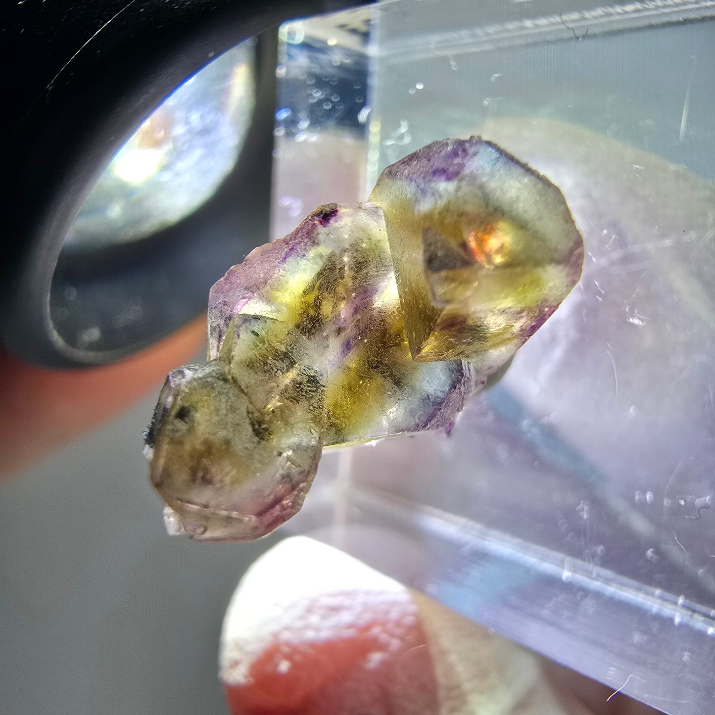 Seltene Phantom Fluorit Würfel Stufe, lila grün gelb Erongo, Namibia 18*10*9mm