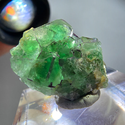 Sehr klare Phantom Fluorit Würfel, zonal Muskovit Stufe Erongo Namibia 23*18*9mm