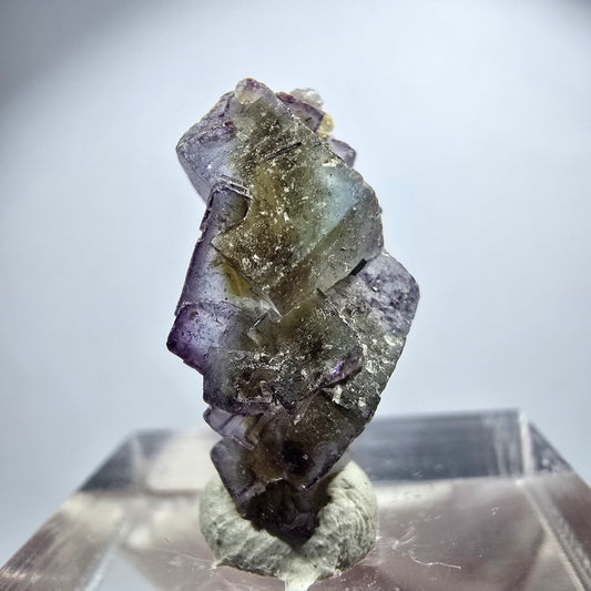 Seltene Phantom Fluorit Würfel Stufe, lila grün gelb, braun Erongo, Namibia 21*11*9mm