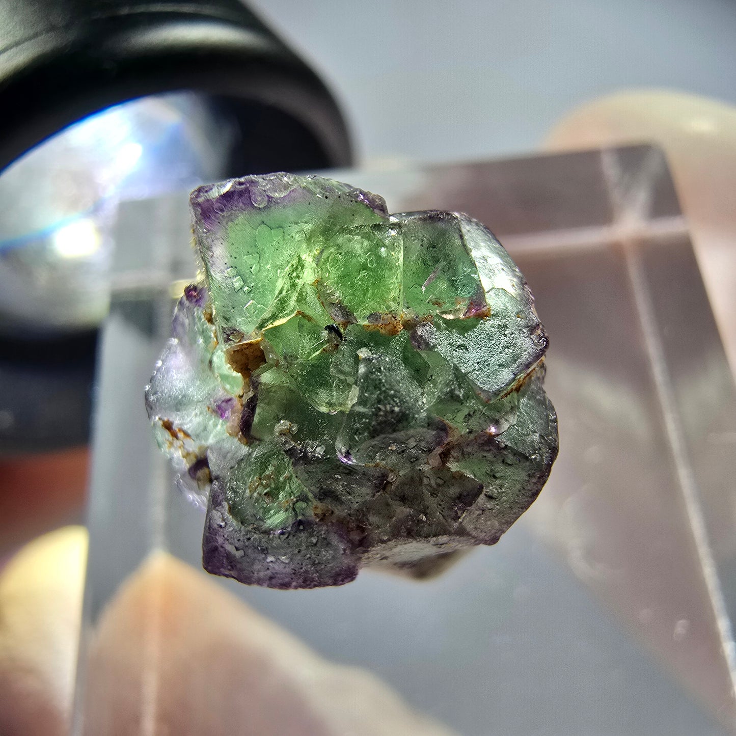 Sehr klare Phantom Fluorit Würfel, zonal Schörl Turmalin Stufe Erongo, Namibia 17*14*12mm