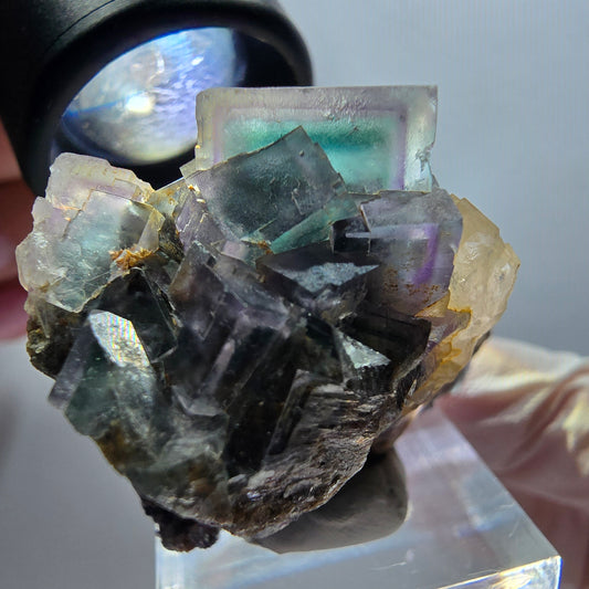 Seltene Phantom Fluorit Würfel, Quarz Stufe, grün lila Okorusu, Namibia 45*34*30mm