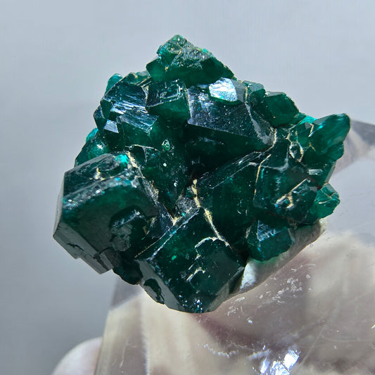 Seltene Dioptas XX Stufe, grün Republik Kongo 20*18*10mm