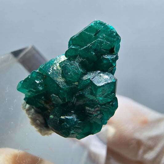 Seltene Dioptas XX Stufe, grün Republik Kongo 17*15*7mm