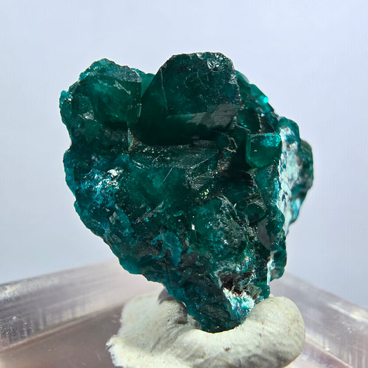 Seltene Dioptas XX Stufe, grün Republik Kongo 23*21*10mm