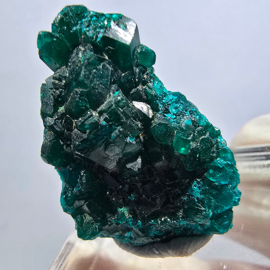 Seltene Dioptas XX Stufe, grün Republik Kongo 28*19*14mm