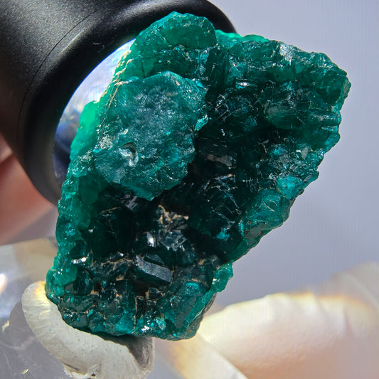 Seltene Dioptas XX Stufe, grün Republik Kongo 33*23*15mm