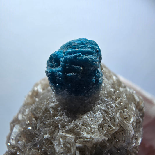 Rare cavansite on matrix, Wagholi, Poona, Maharashtra, India, 47*36*29mm