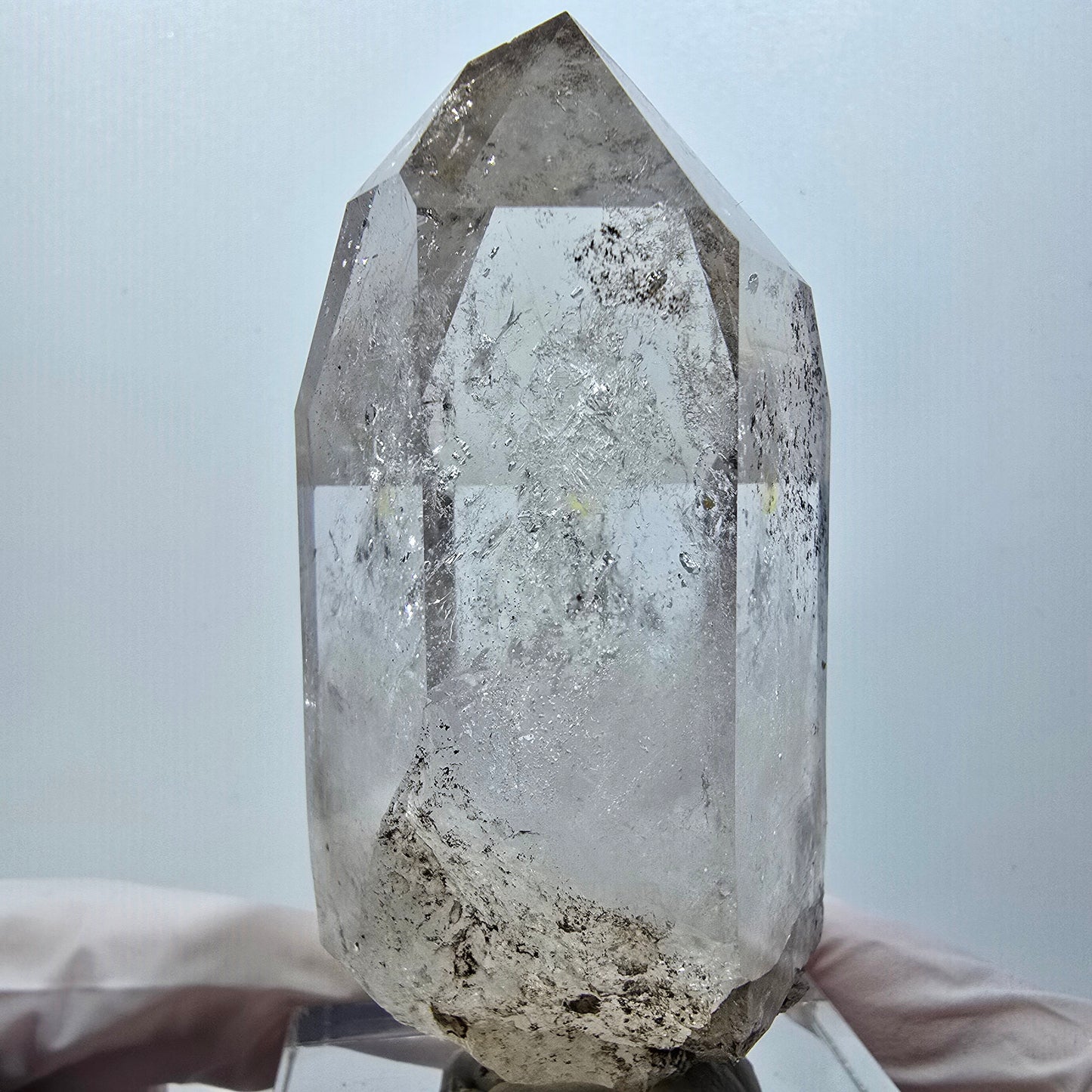 Seltene Skelett Phantom Rauchquarz Zepter Spitze Goboboseb, Namibia 76*39*32mm