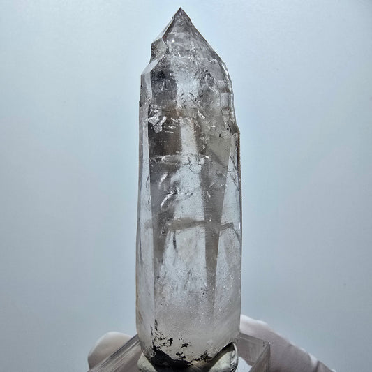 Enhydro Skelett Phantom Rauchquarz Zepter Goboboseb, Namibia 70*22*19mm