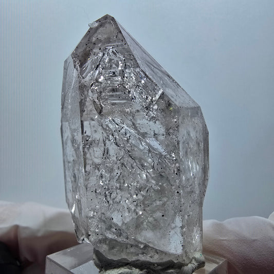 Enhydro Skelett Phantom Rauchquarz DT Zepter, 1x Blase Goboboseb, Namibia 56*36*29mm