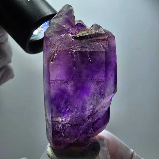 Seltene Skelett Phantom Amethyst DT Spitze Goboboseb, Namibia 67*32*24mm