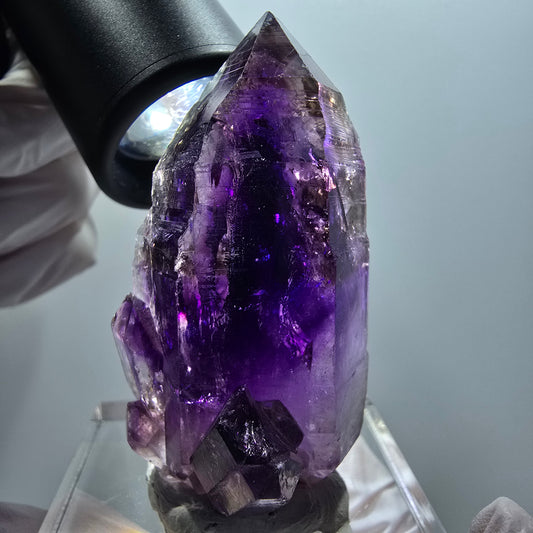 Seltene Skelett Phantom Amethyst Zepter Stufe Goboboseb, Namibia 60*32*28mm