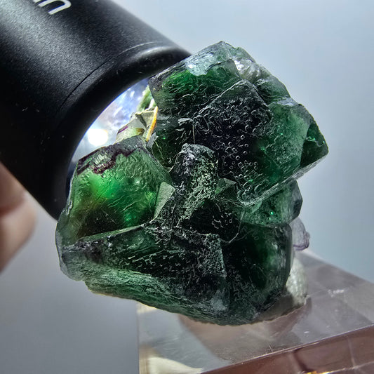 Seltene Phantom Fluorit, zonal, Muskovit Stufe Erongo, Namibia 34*31*25mm