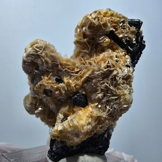 Phantom Fluorit, Schörl Turmalin, Muskovit Stufe Erongo, Namibia 48*37*24mm