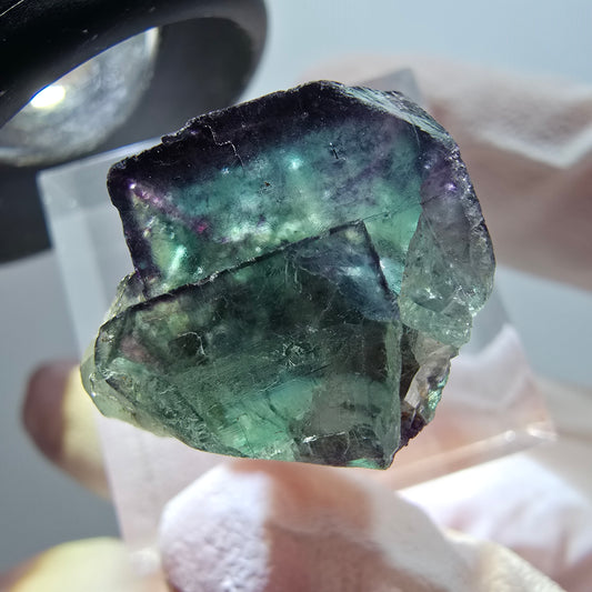 Sehr klare Phantom Fluorit Würfel Stufe, grün lila Okorusu, Namibia 19*18*16mm #11772